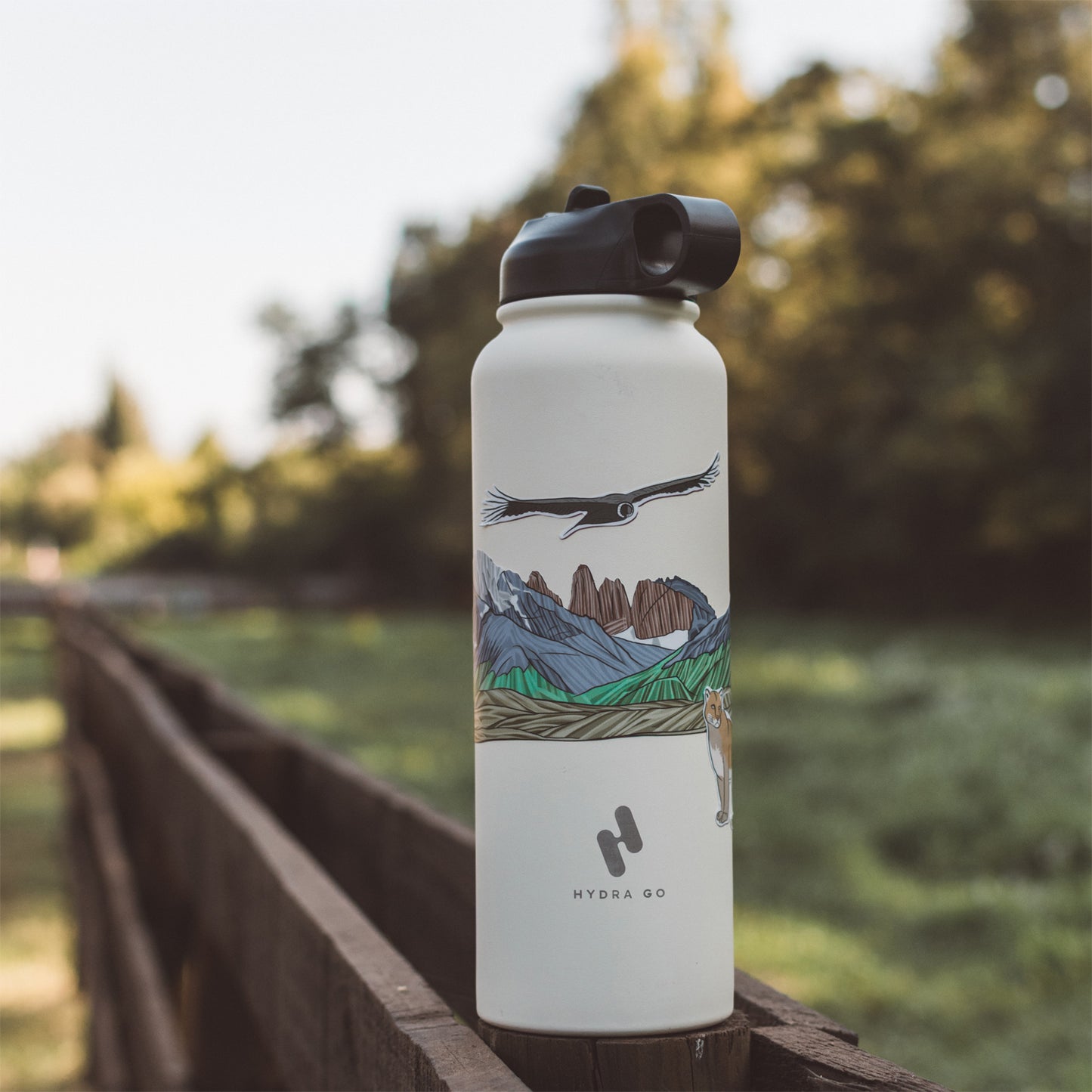 Parque Nacional Torres del Paine