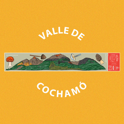 Cochamó
